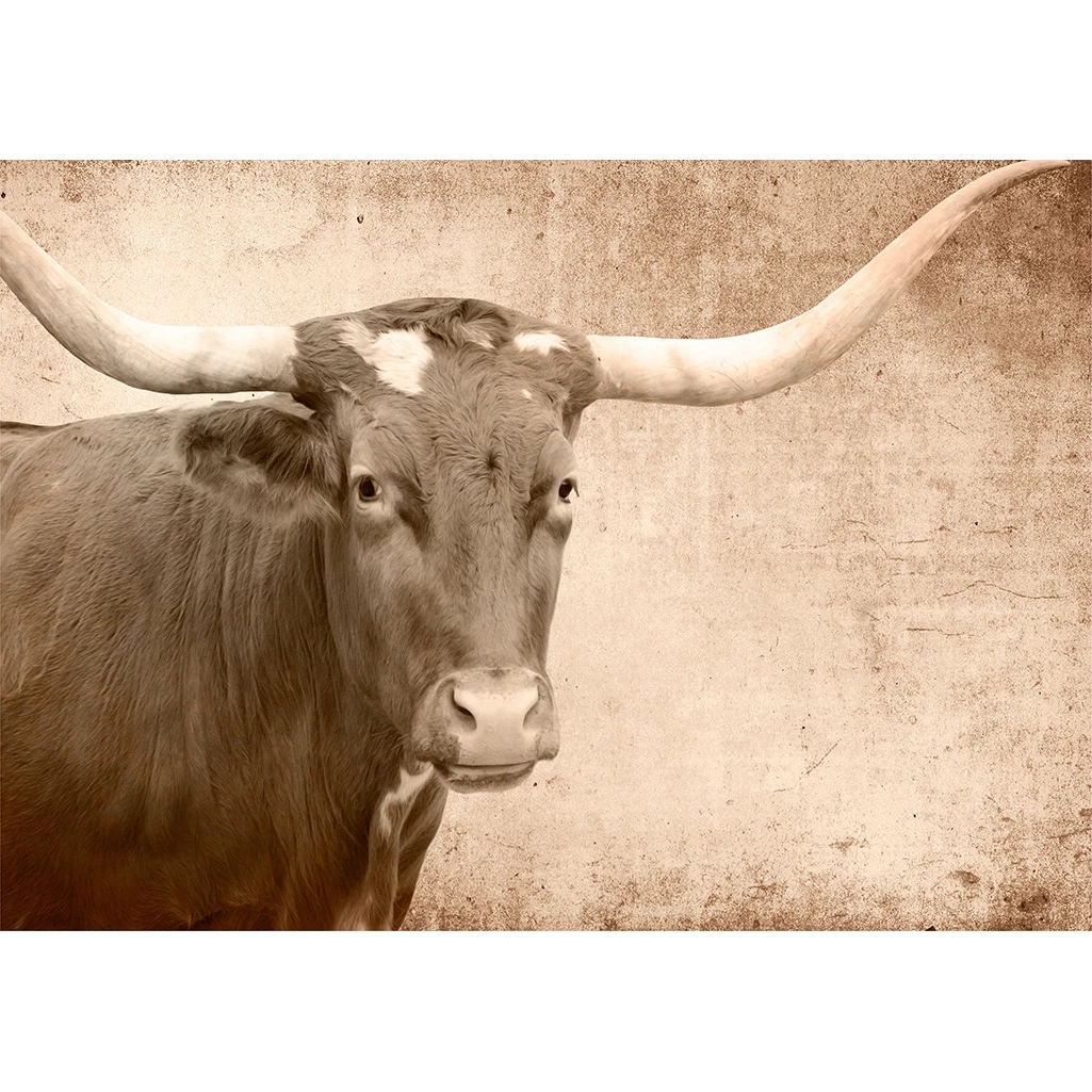 Texas Longhorn - Decoupage Papier