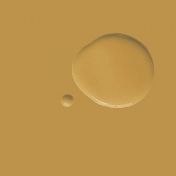 Carnaby Yellow - Satin Paint