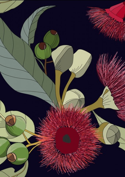 Gumnuts - Decoupage Papier