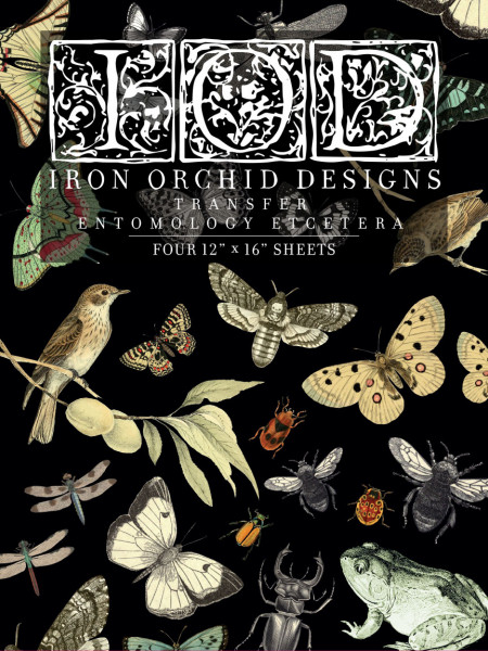 Decor Transfer "Entomology Etcetera"