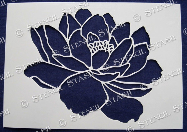 Single Peony