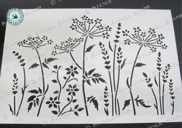 Wild Meadow 2 Cow Parlsley