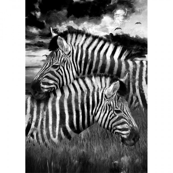 Zebra - Decoupage Papier
