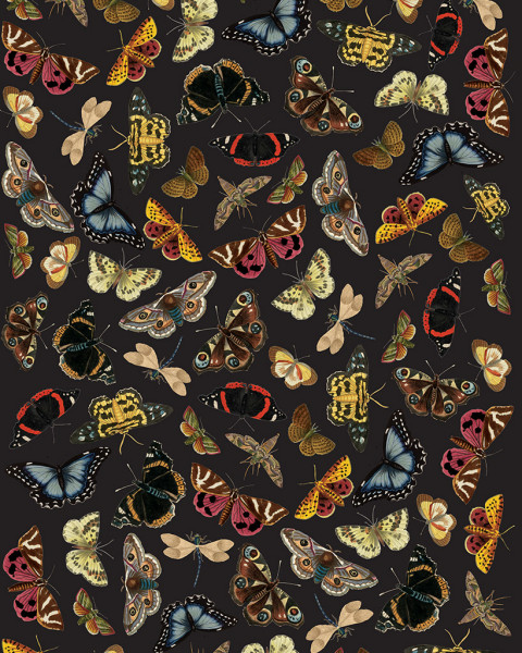 'Winged Wildlife' - RHS Decoupagepapier