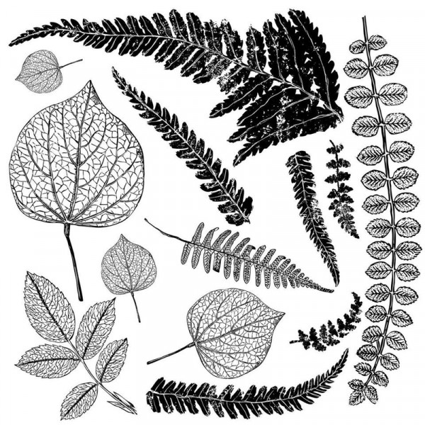 Decor Stempel "Fronds"