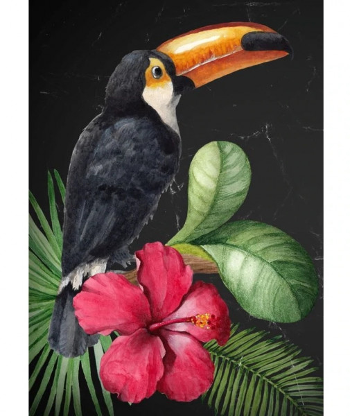 Toucan - Decoupage Papier