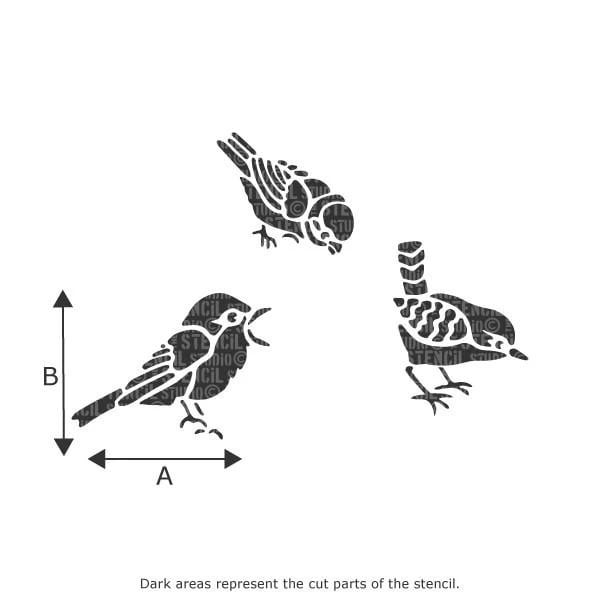 Birds