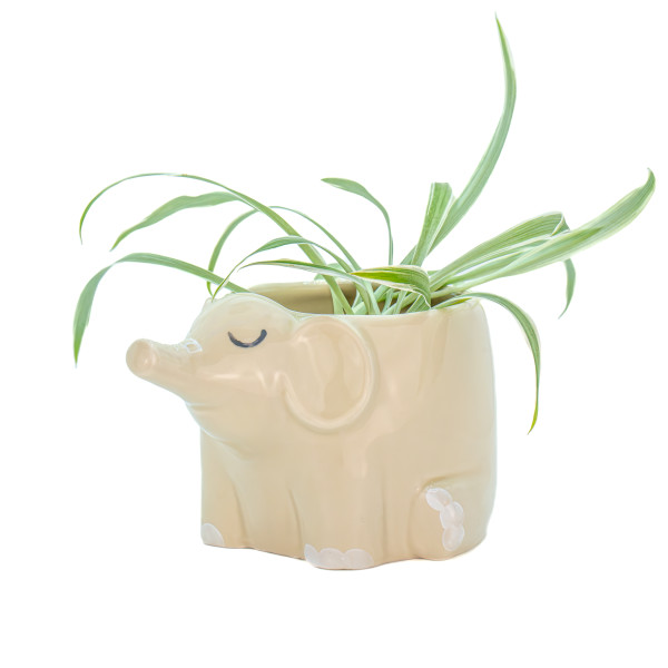 Elefant Mini Blumentopf / Elephant Mini Planter