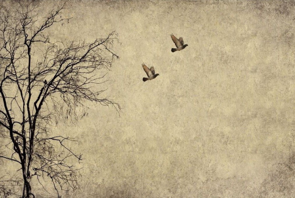 Flying Birds - Decoupage Papier